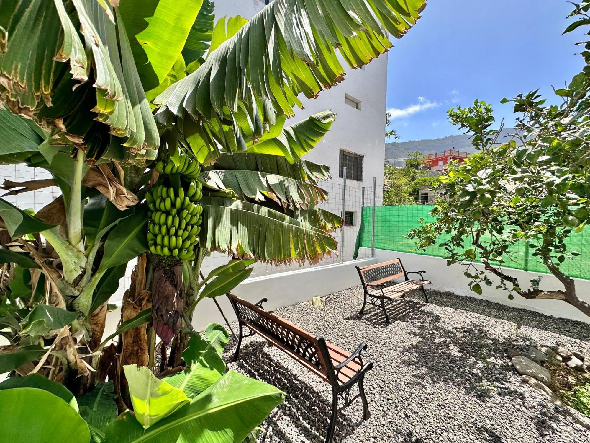Casa Tina Villa Guimar Ngoại thất bức ảnh