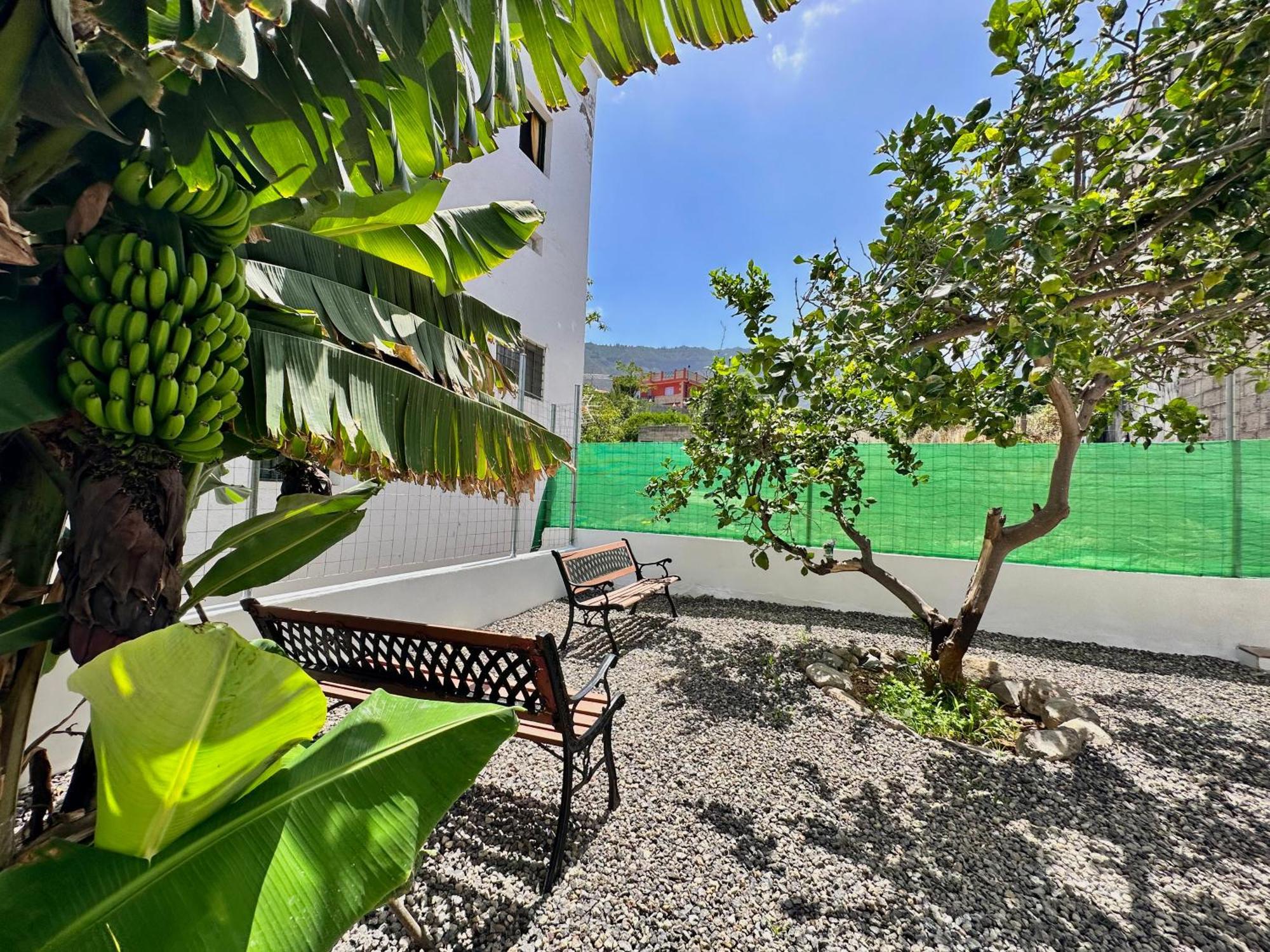 Casa Tina Villa Guimar Ngoại thất bức ảnh