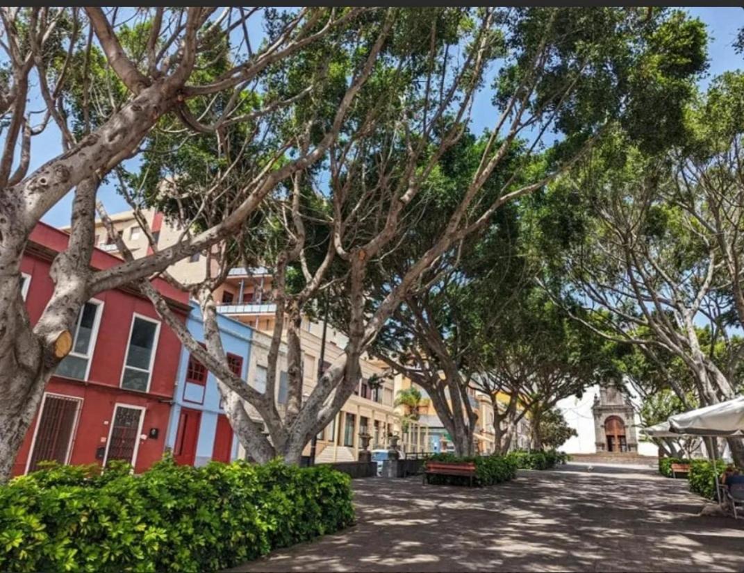 Casa Tina Villa Guimar Ngoại thất bức ảnh